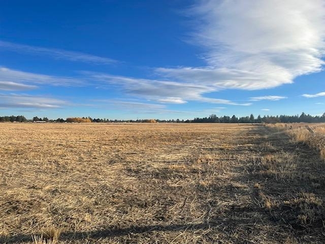 N/a N/a Unassigned Hallet Road Cheney, WA 99004 - Photo 1 of 5