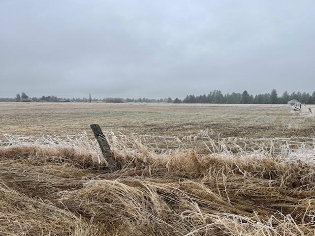 N/a N/a Unassigned Hallet Road Cheney, WA 99004 - Photo 3 of 5