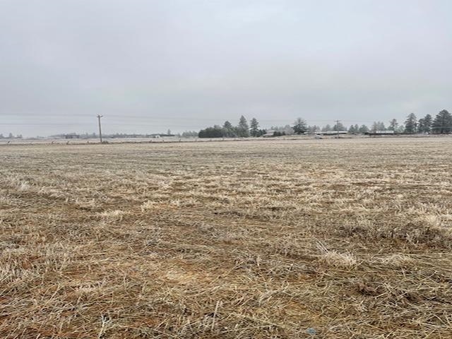 N/a N/a Unassigned Hallet Road Cheney, WA 99004 - Photo 4 of 5