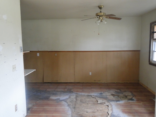 31390476-3.JPG