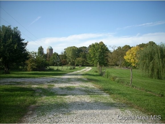 10119 Meredith Road Carlinville, IL 62626 - Photo 13 of 24