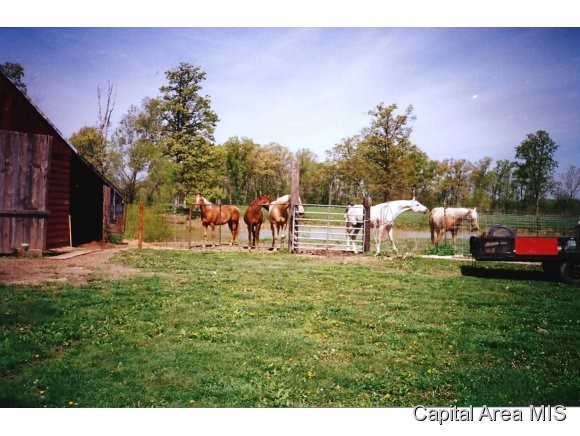 10119 Meredith Road Carlinville, IL 62626 - Photo 15 of 24