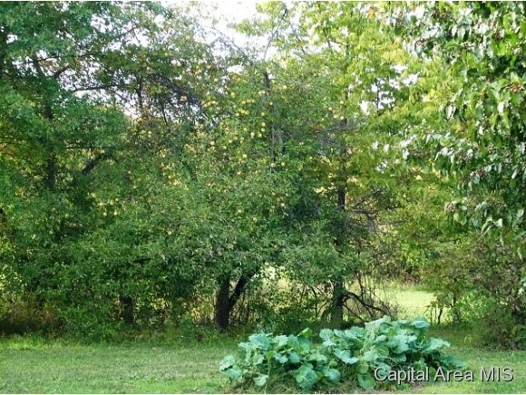 10119 Meredith Road Carlinville, IL 62626 - Photo 19 of 24