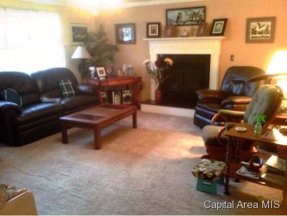 10119 Meredith Road Carlinville, IL 62626 - Photo 5 of 24