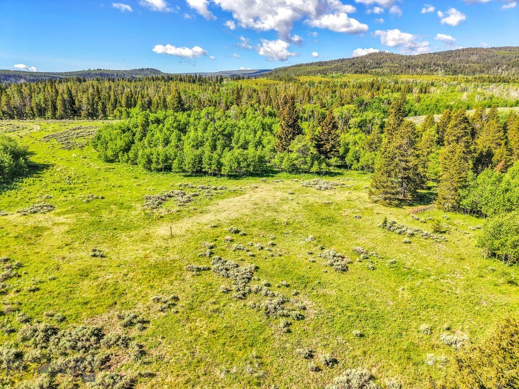 Lot 33 Elk Ridge Road Cameron, MT 59720 - Photo 29 of 75 Gallery Image 29