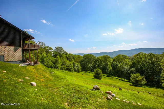 a view of a big yard with potted plants and large tree