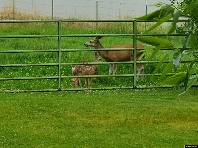 $355,000 | 9 Mission Road, Riverton, WY 82501