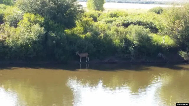 $355,000 | 9 Mission Road, Riverton, WY 82501