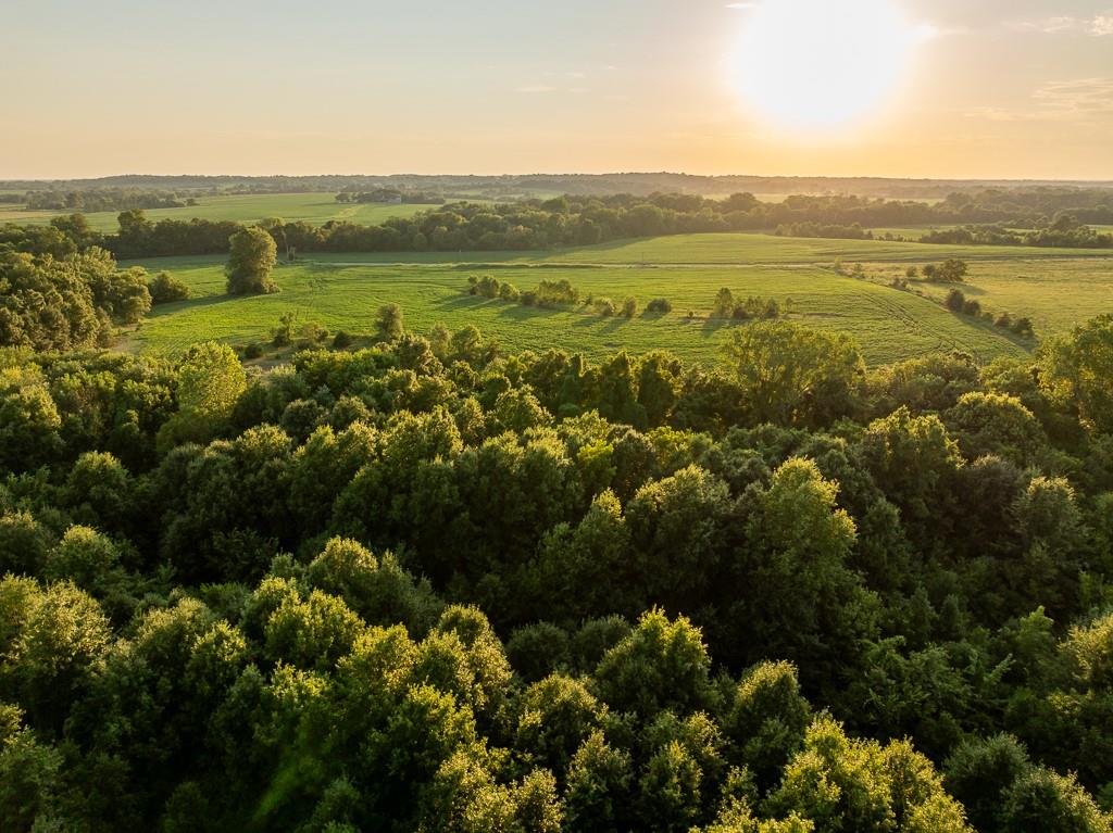 South Grand River Road Harrisonville, MO 64701 - Photo 12 of 49