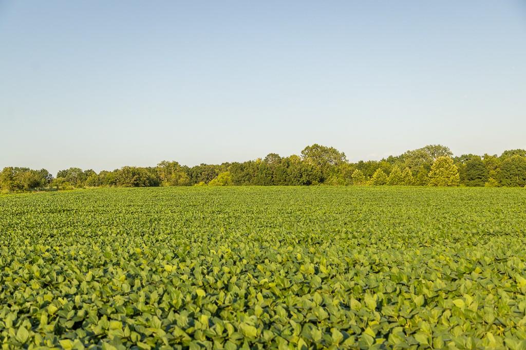 South Grand River Road Harrisonville, MO 64701 - Photo 21 of 49