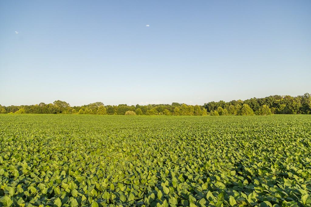 South Grand River Road Harrisonville, MO 64701 - Photo 23 of 49