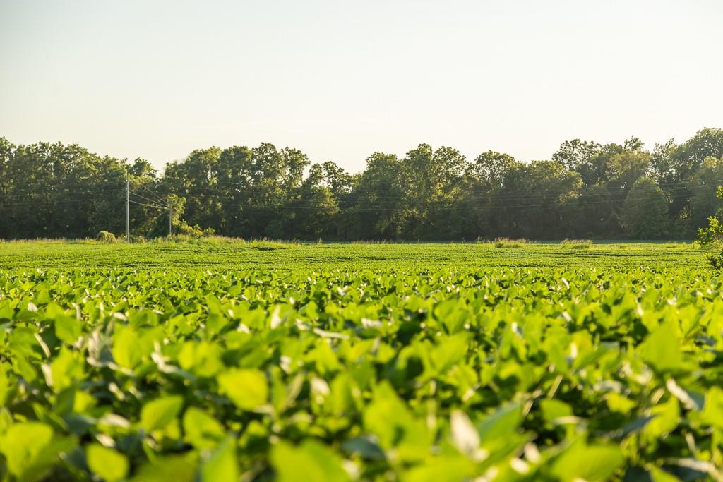 South Grand River Road Harrisonville, MO 64701 - Photo 24 of 49