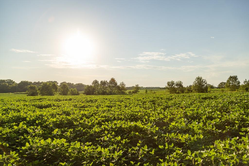 South Grand River Road Harrisonville, MO 64701 - Photo 25 of 49