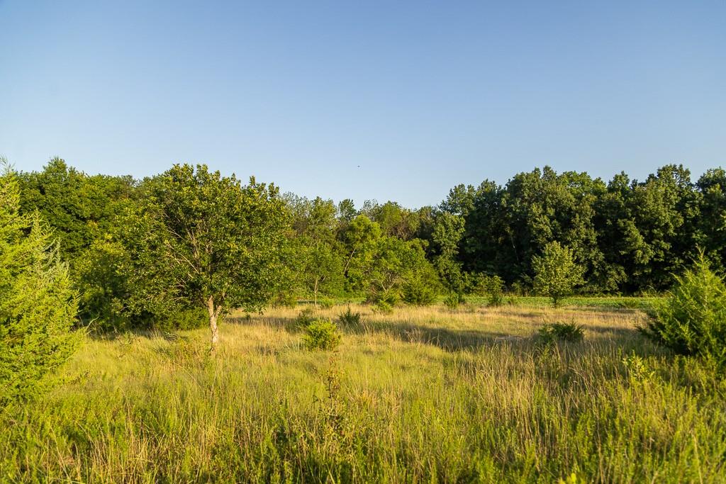 South Grand River Road Harrisonville, MO 64701 - Photo 26 of 49