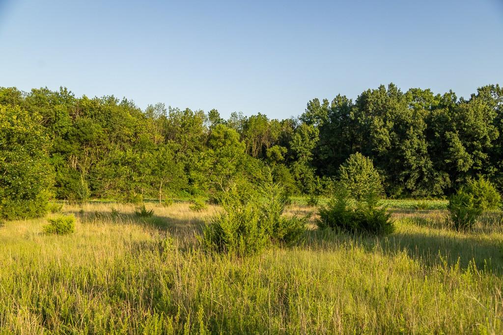 South Grand River Road Harrisonville, MO 64701 - Photo 27 of 49