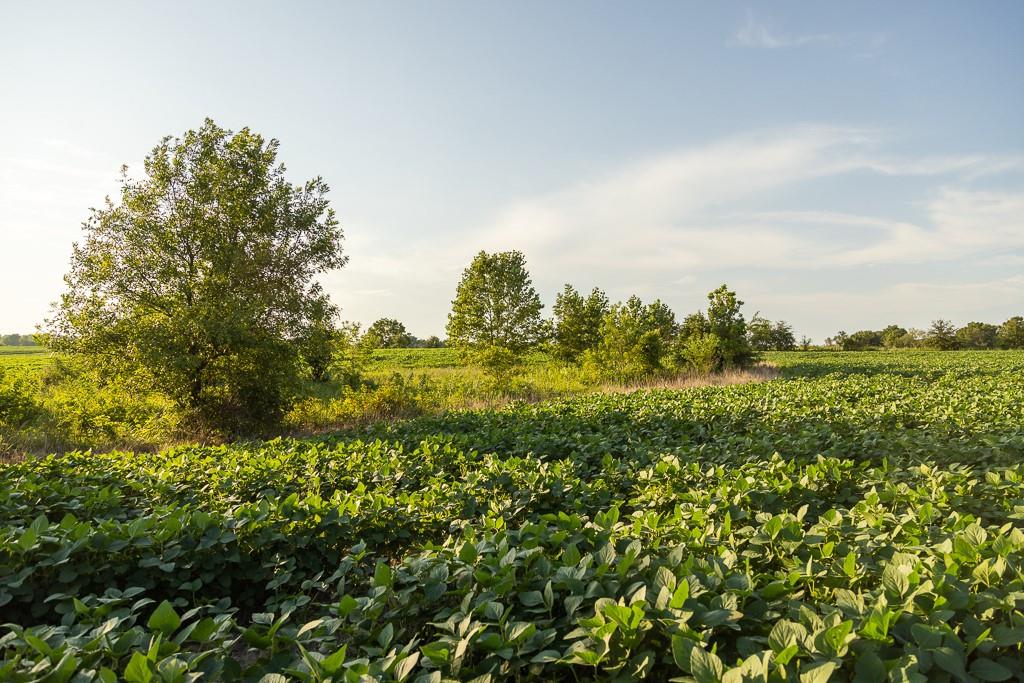 South Grand River Road Harrisonville, MO 64701 - Photo 29 of 49