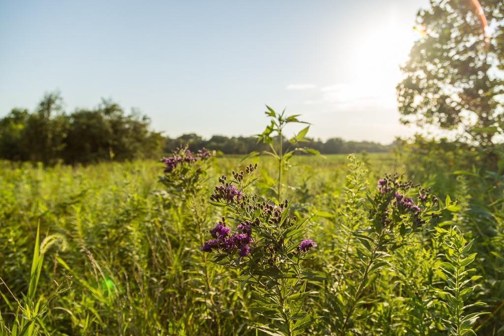 South Grand River Road Harrisonville, MO 64701 - Photo 31 of 49