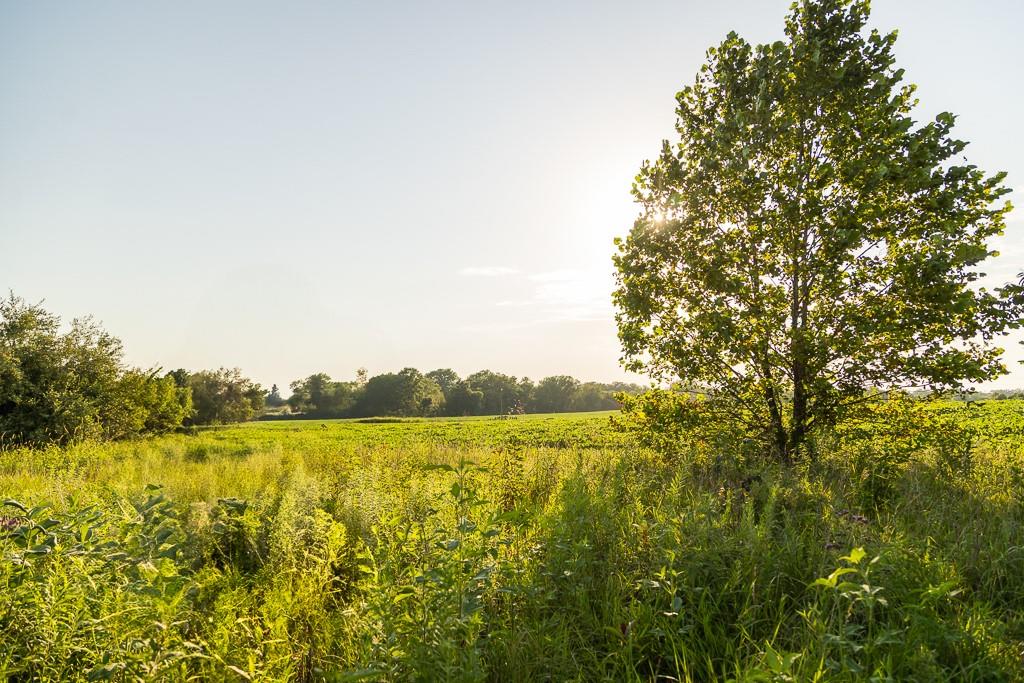 South Grand River Road Harrisonville, MO 64701 - Photo 32 of 49