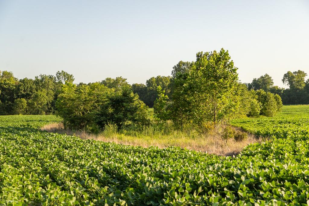 South Grand River Road Harrisonville, MO 64701 - Photo 34 of 49
