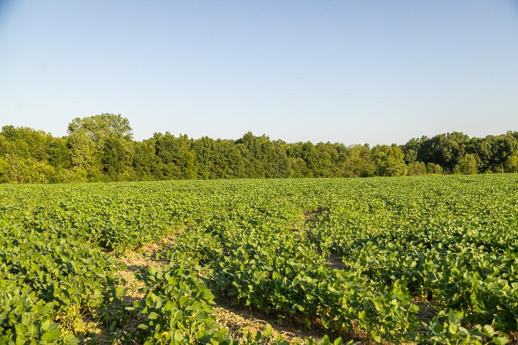 South Grand River Road Harrisonville, MO 64701 - Photo 35 of 49