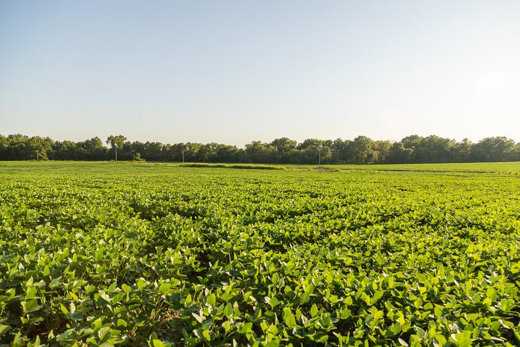 South Grand River Road Harrisonville, MO 64701 - Photo 37 of 49