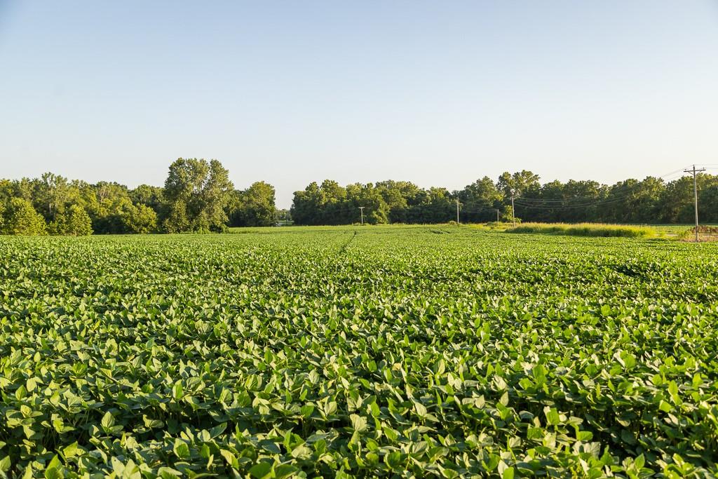 South Grand River Road Harrisonville, MO 64701 - Photo 38 of 49