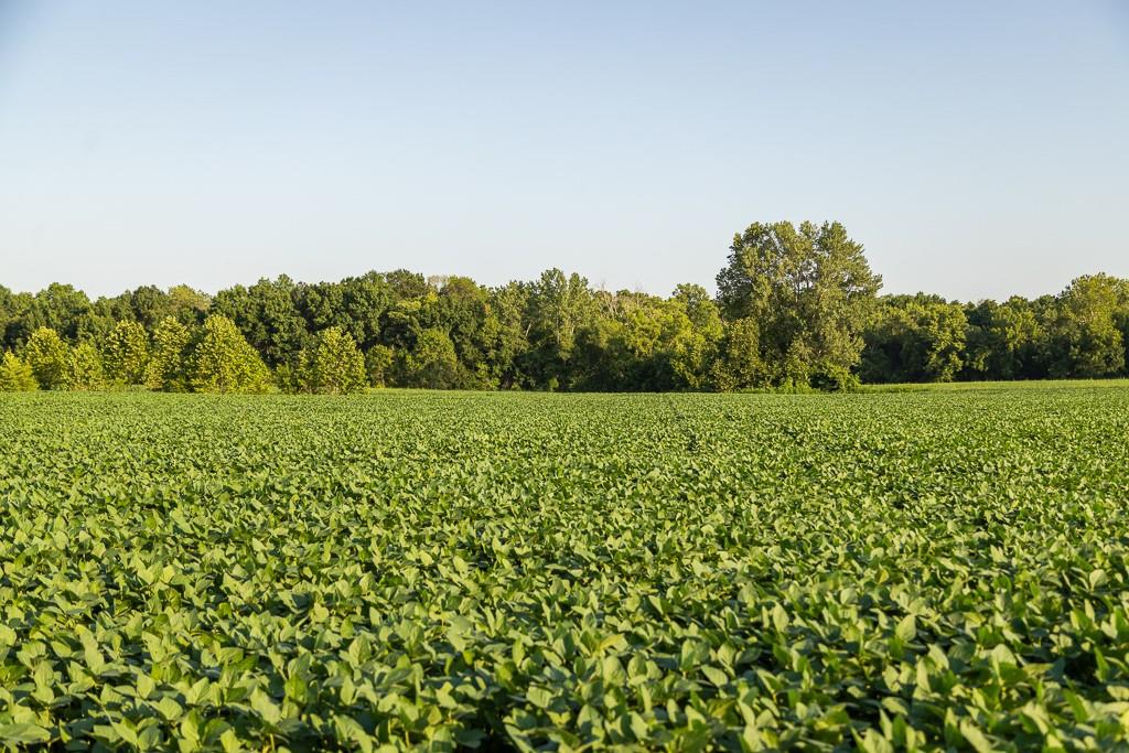 South Grand River Road Harrisonville, MO 64701 - Photo 40 of 49