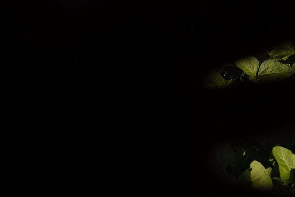 South Grand River Road Harrisonville, MO 64701 - Photo 42 of 49