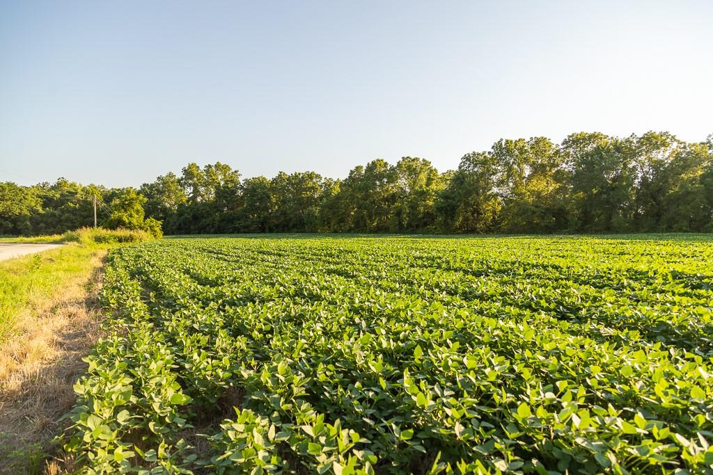 South Grand River Road Harrisonville, MO 64701 - Photo 43 of 49
