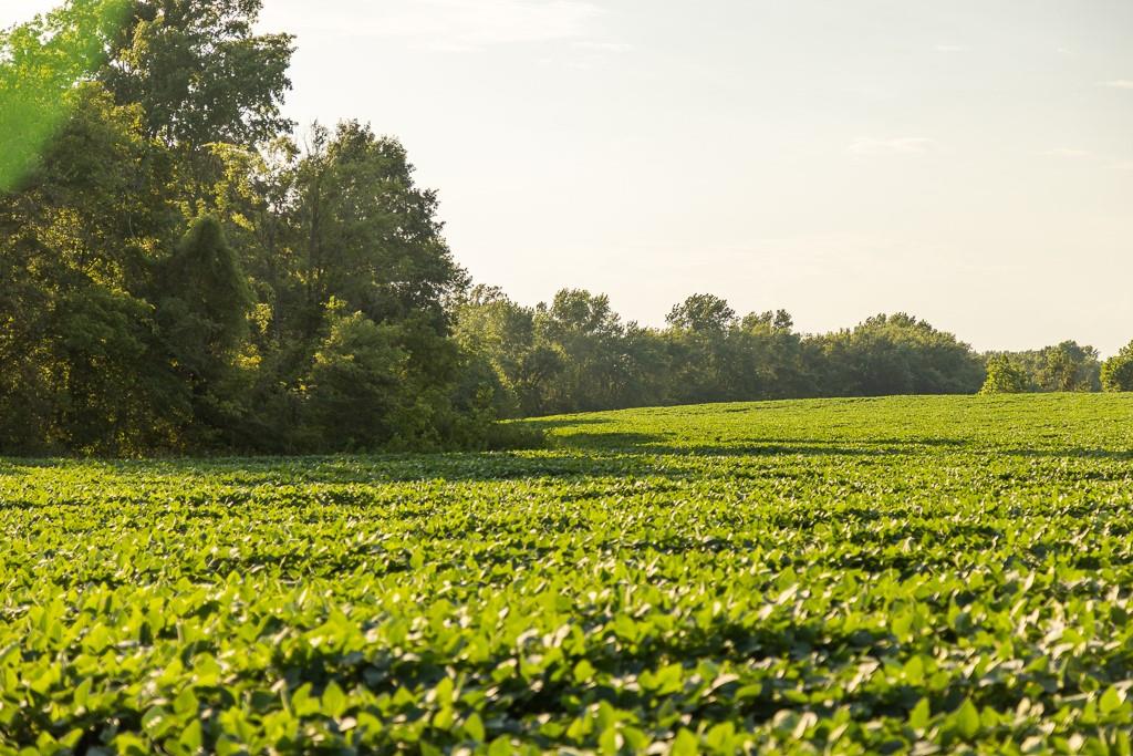 South Grand River Road Harrisonville, MO 64701 - Photo 44 of 49