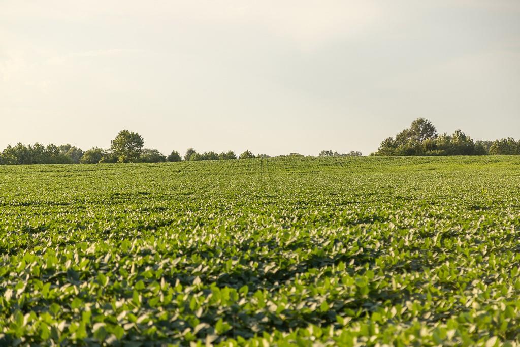 South Grand River Road Harrisonville, MO 64701 - Photo 46 of 49