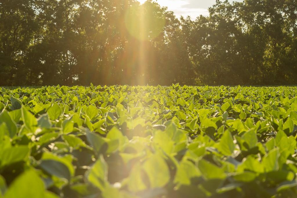 South Grand River Road Harrisonville, MO 64701 - Photo 47 of 49