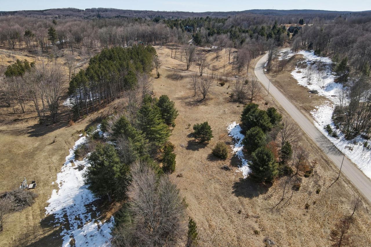 0 Walling Road Alden, MI 49612 - Photo 14 of 15