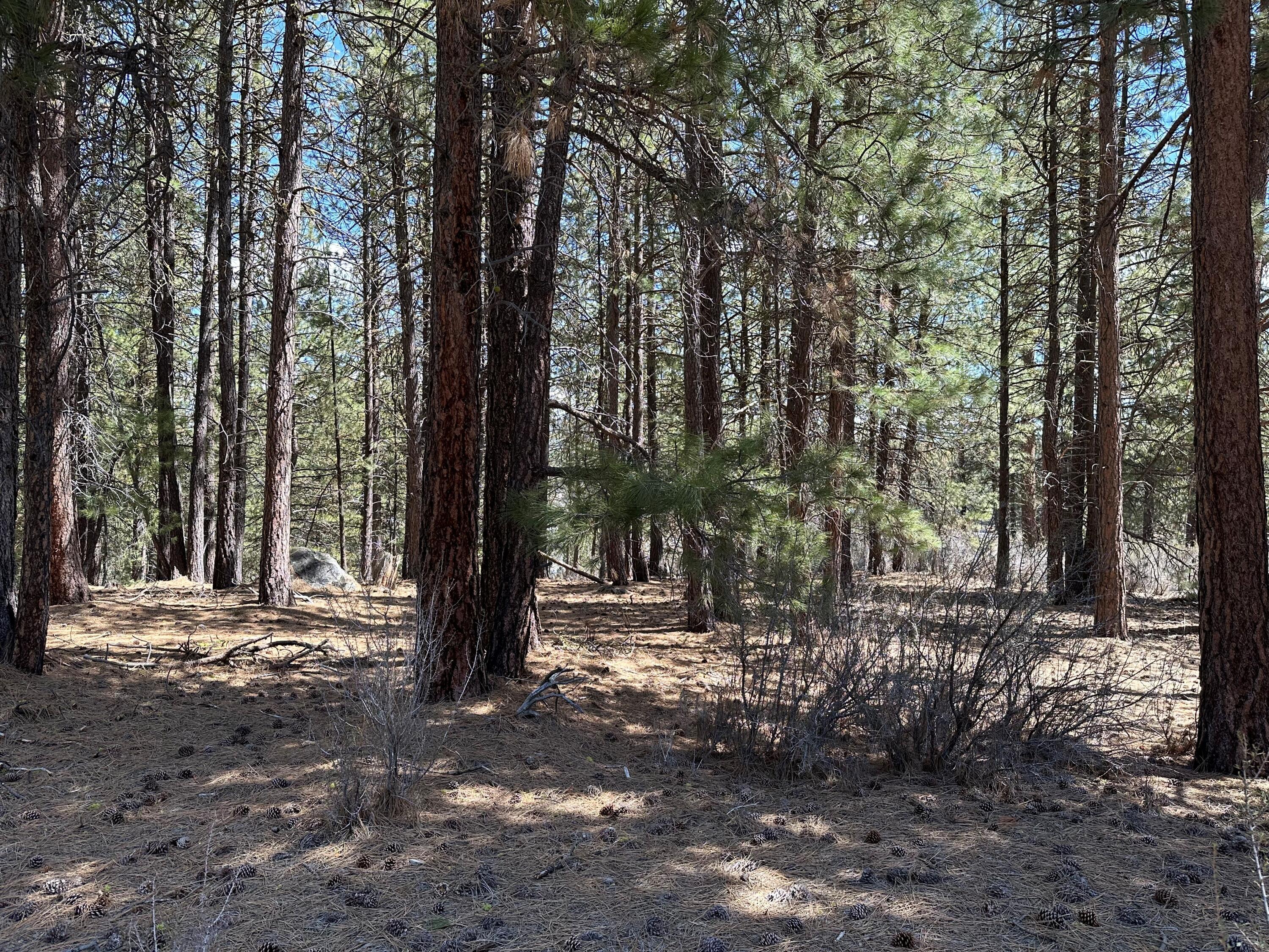 Lot 4 Waterview Way Chiloquin, OR 97624 - Photo 3 of 3 ww3
