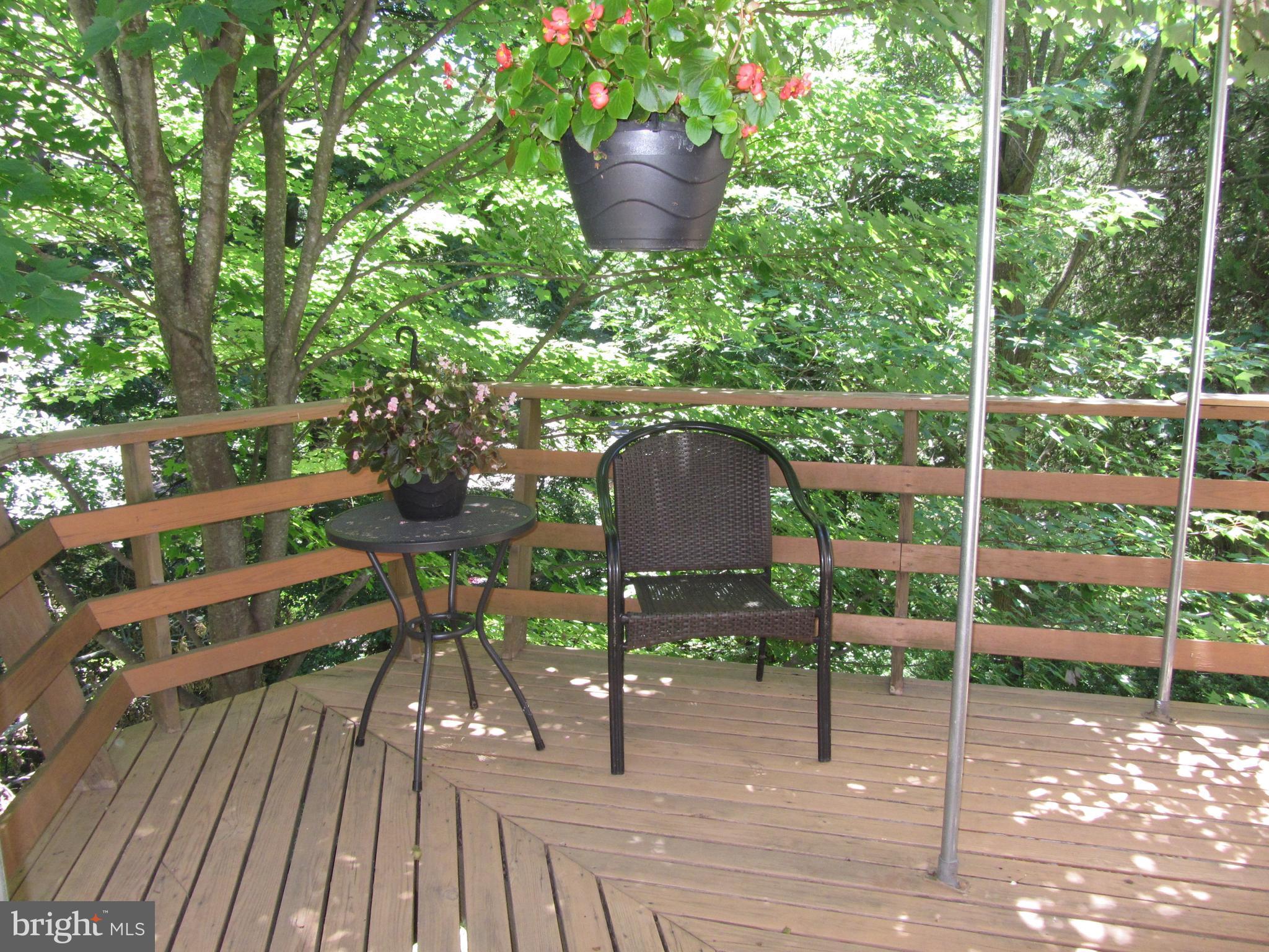417 Range Road Baltimore, MD 21204 - Photo 24 of 30 Deck