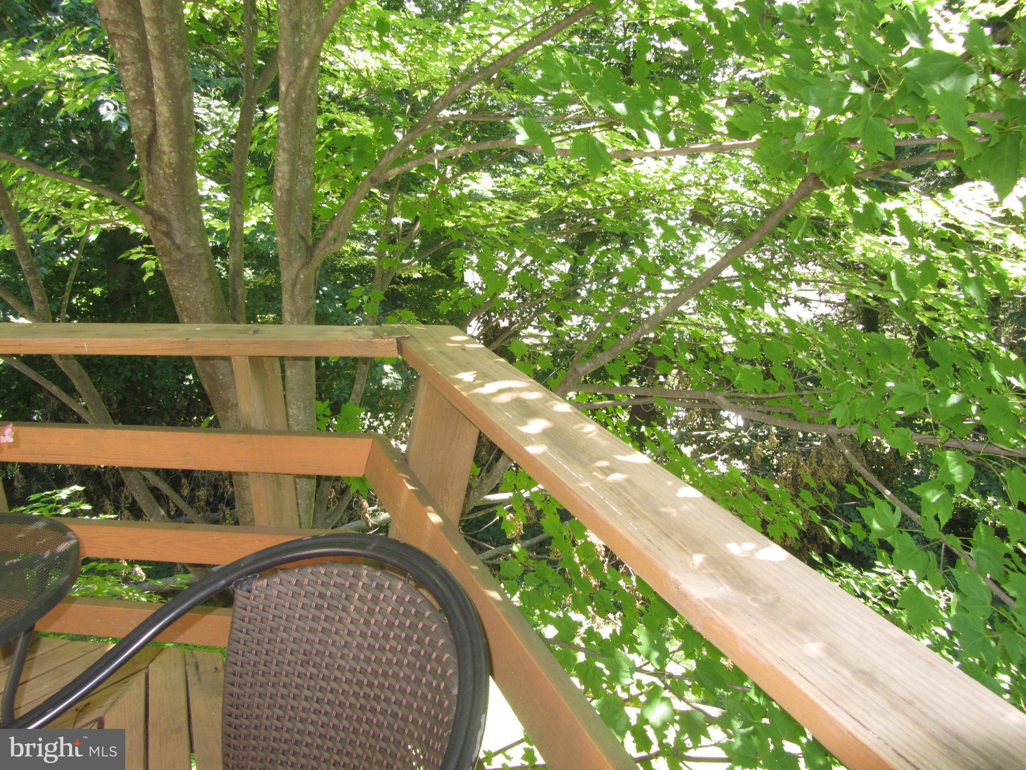 417 Range Road Baltimore, MD 21204 - Photo 25 of 30 Deck with Tree House Feel