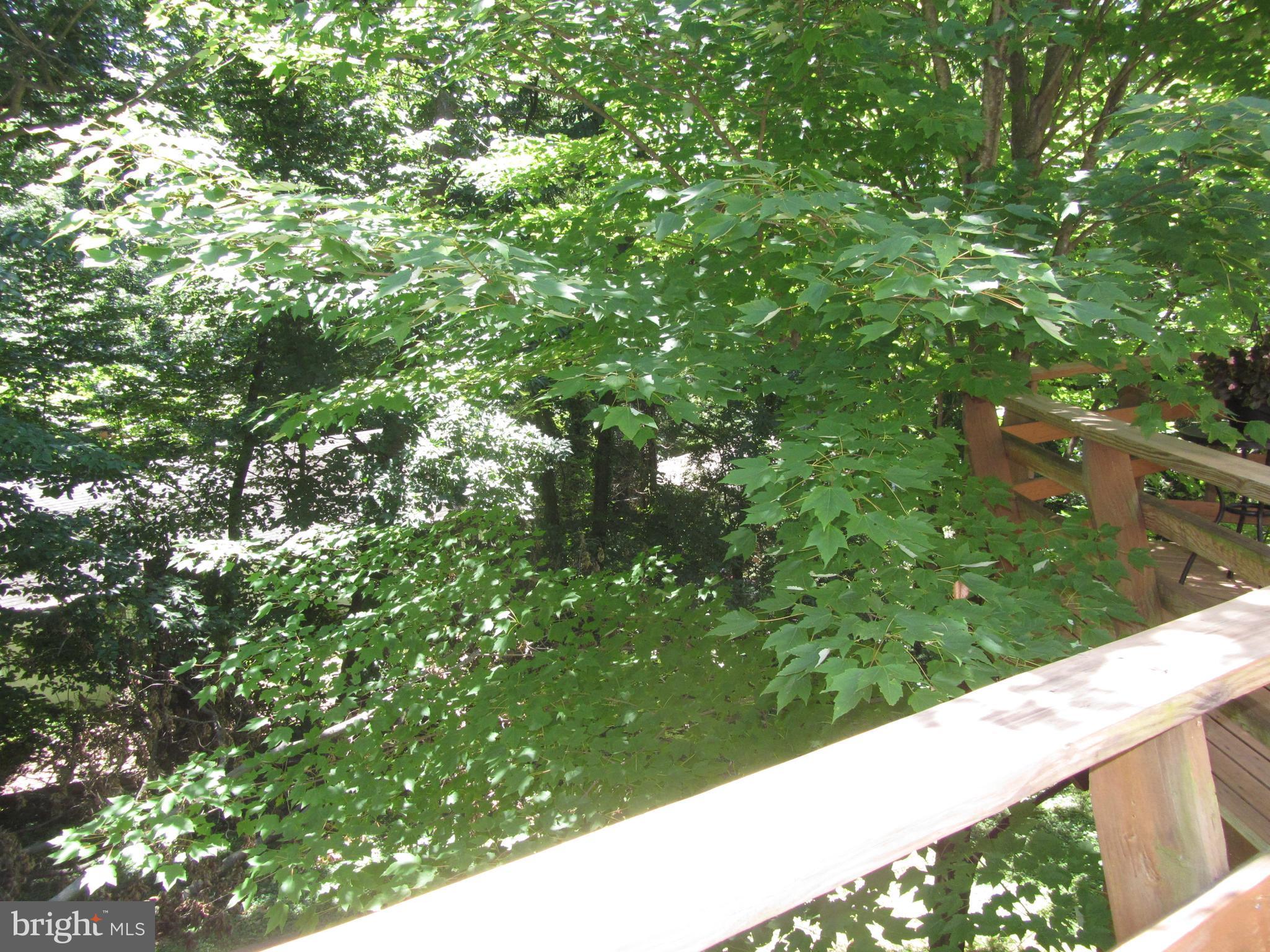417 Range Road Baltimore, MD 21204 - Photo 26 of 30 View from Deck
