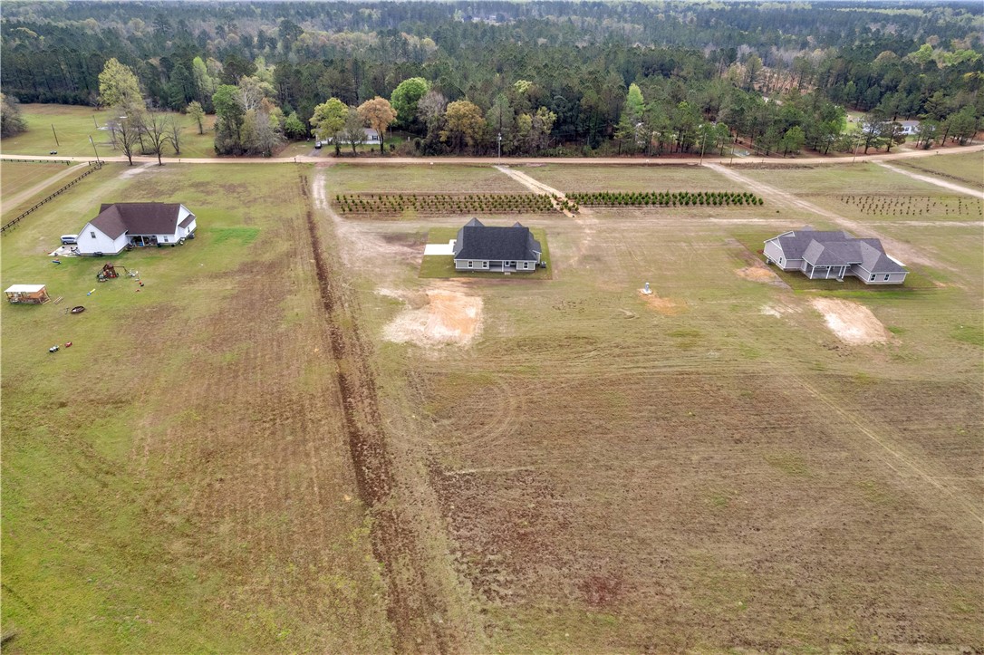 795 South T Morris Road Northeast Ludowici, GA 31316 - Photo 37 of 38