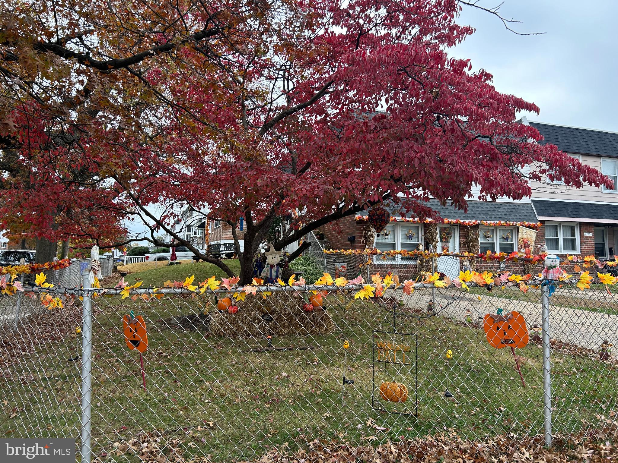 11711 Brandon Road Philadelphia, PA 19154 - Photo 13 of 15 Autumn hues and festive charm abound.