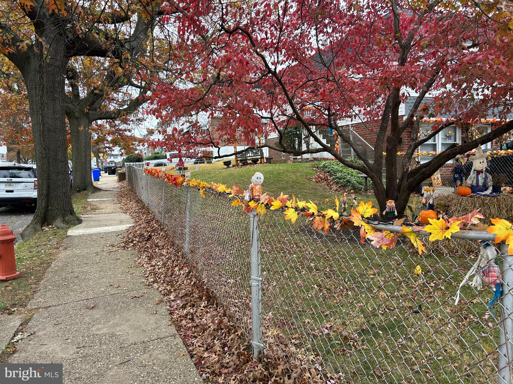11711 Brandon Road Philadelphia, PA 19154 - Photo 15 of 15 Autumn charm along a vibrant neighborhood path.