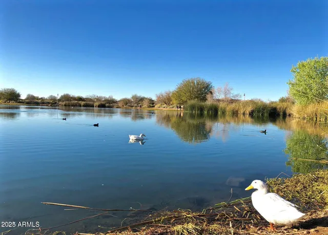 $975,000 | 4390 South White Drive, Chandler, AZ 85249