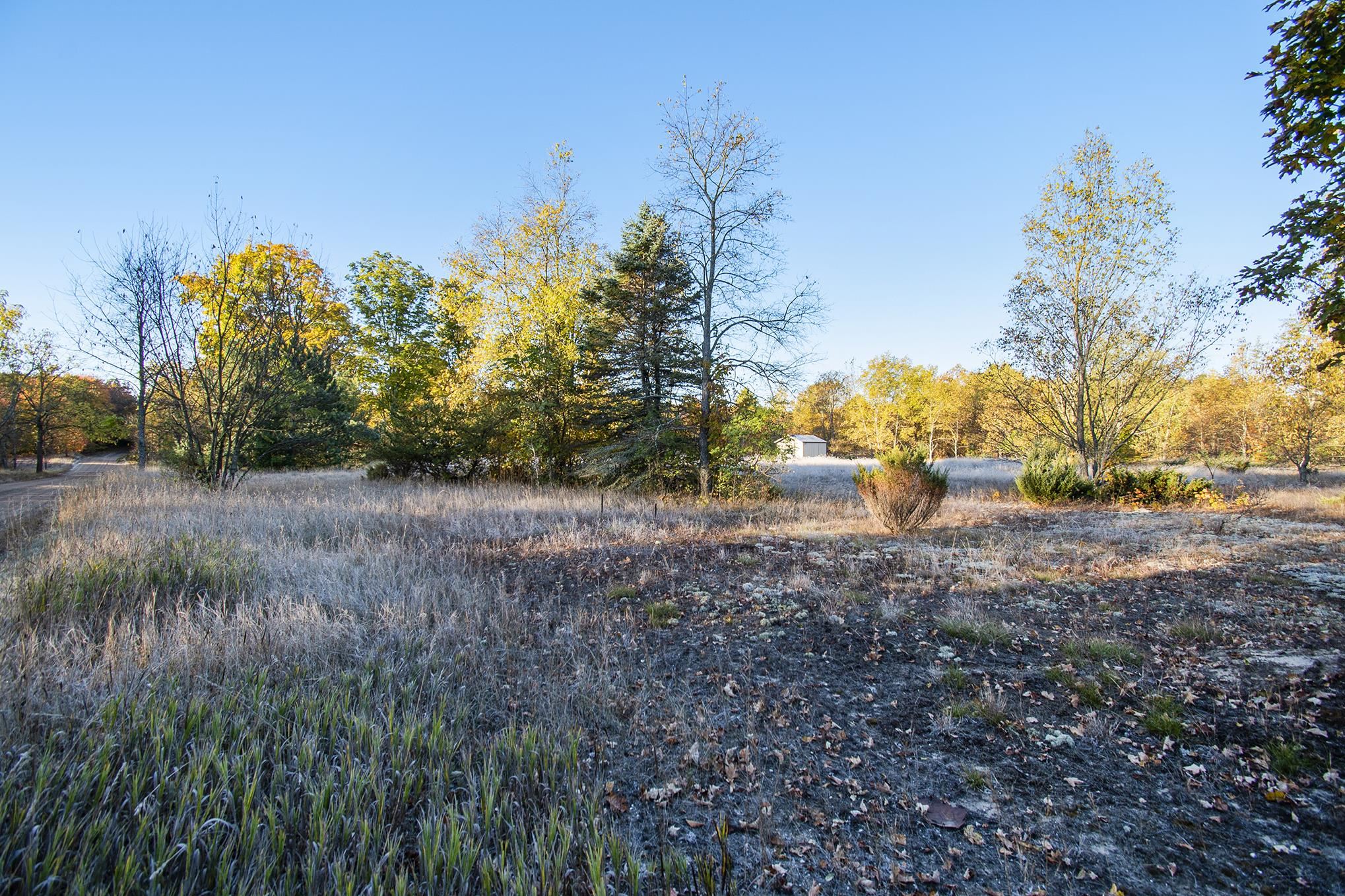 0 Pioneer Road Honor, MI 49640 - Photo 9 of 26