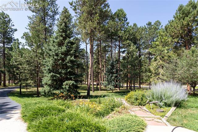19065 Deerfield Road Monument, CO 80132 - Photo 48 of 49