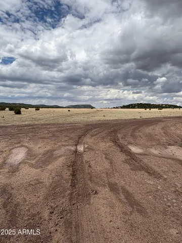 a view of a dry yard with mountains in the background