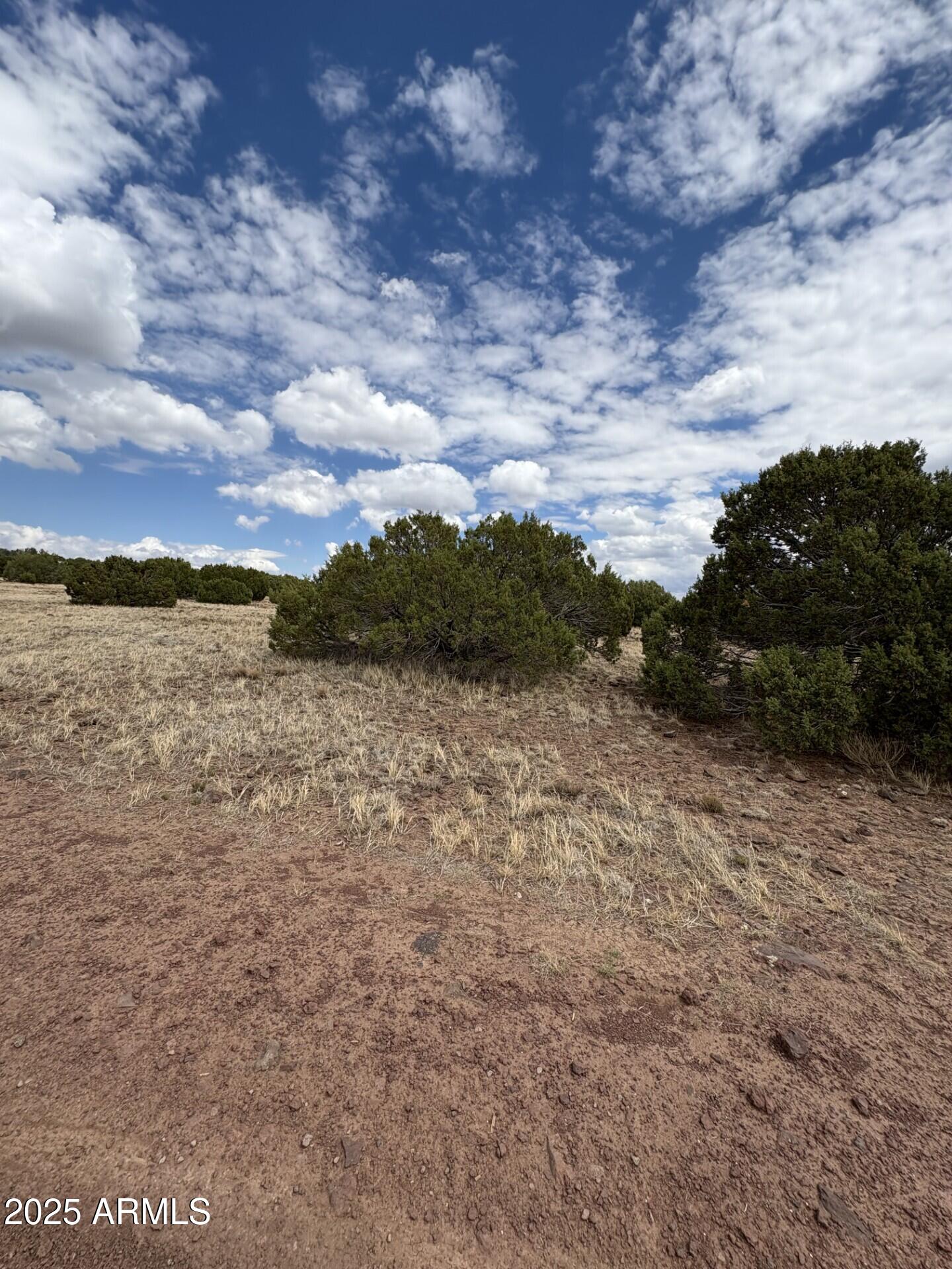 48 County Road Concho, AZ 85924 - Photo 12 of 18 48 County Rd N8339