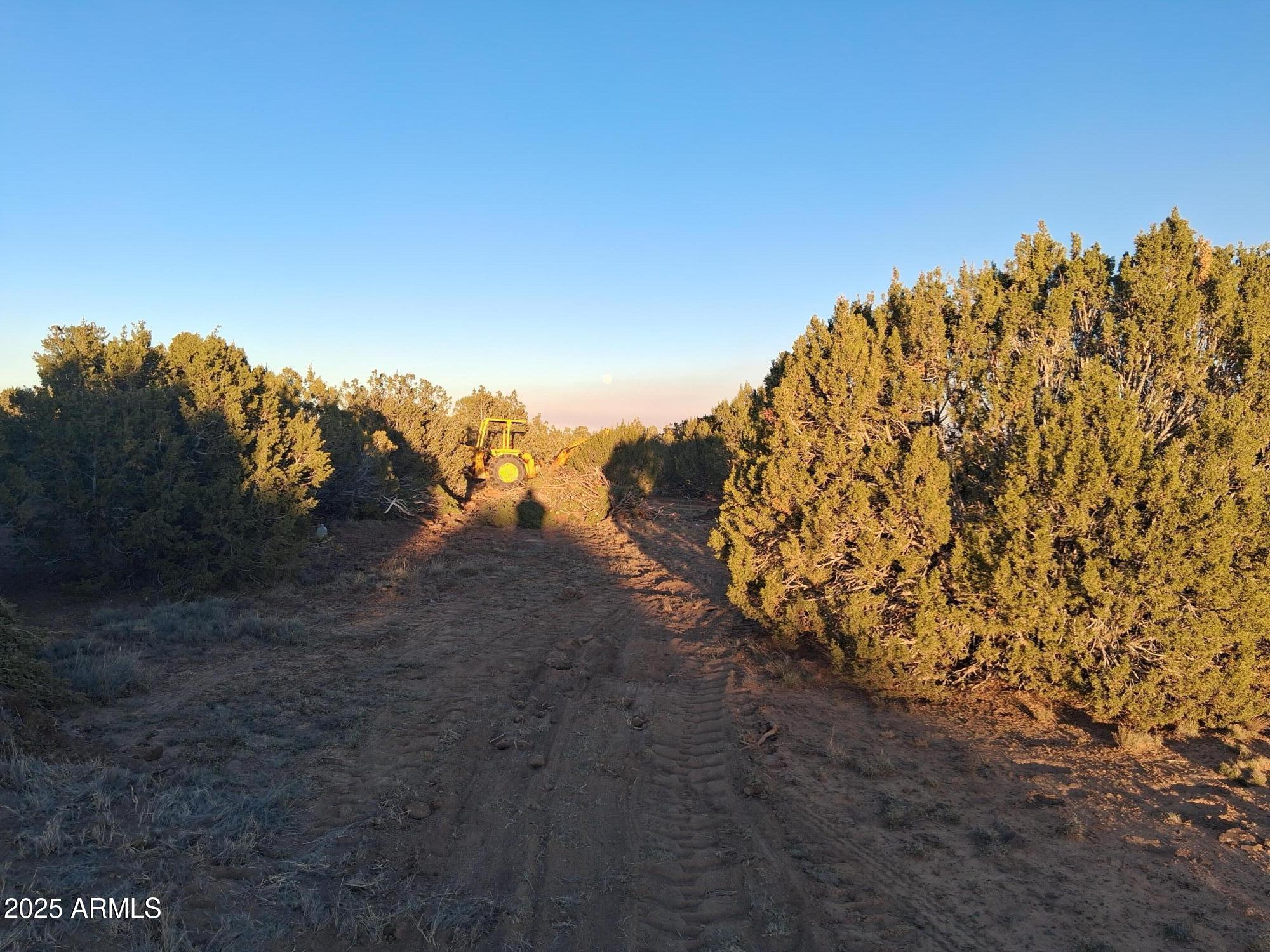 48 County Road Concho, AZ 85924 - Photo 15 of 18 48 County Rd N8339