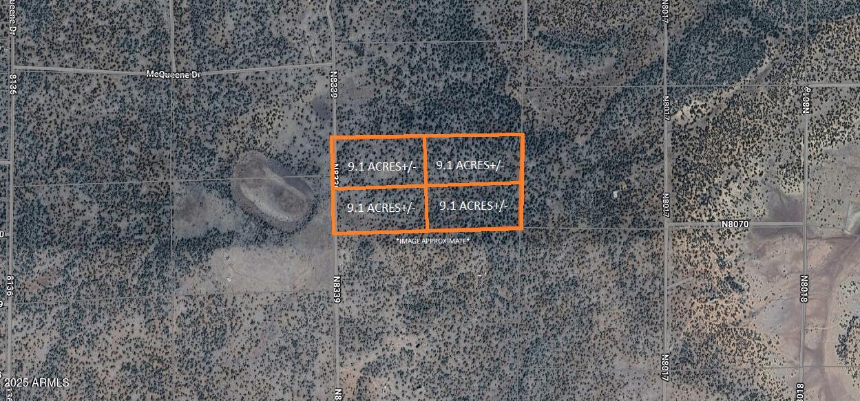 48 County Road Concho, AZ 85924 - Photo 3 of 18 48 County Rd N8339