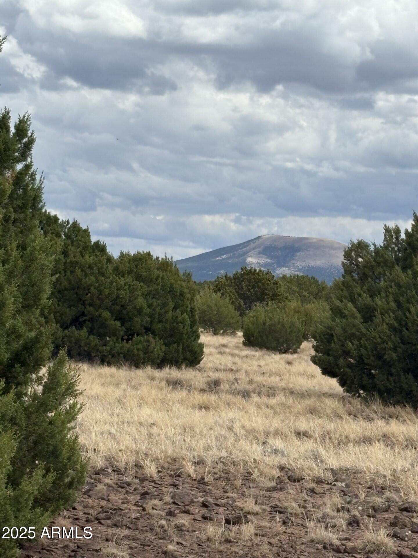 48 County Road Concho, AZ 85924 - Photo 6 of 18 48 County Rd N8339