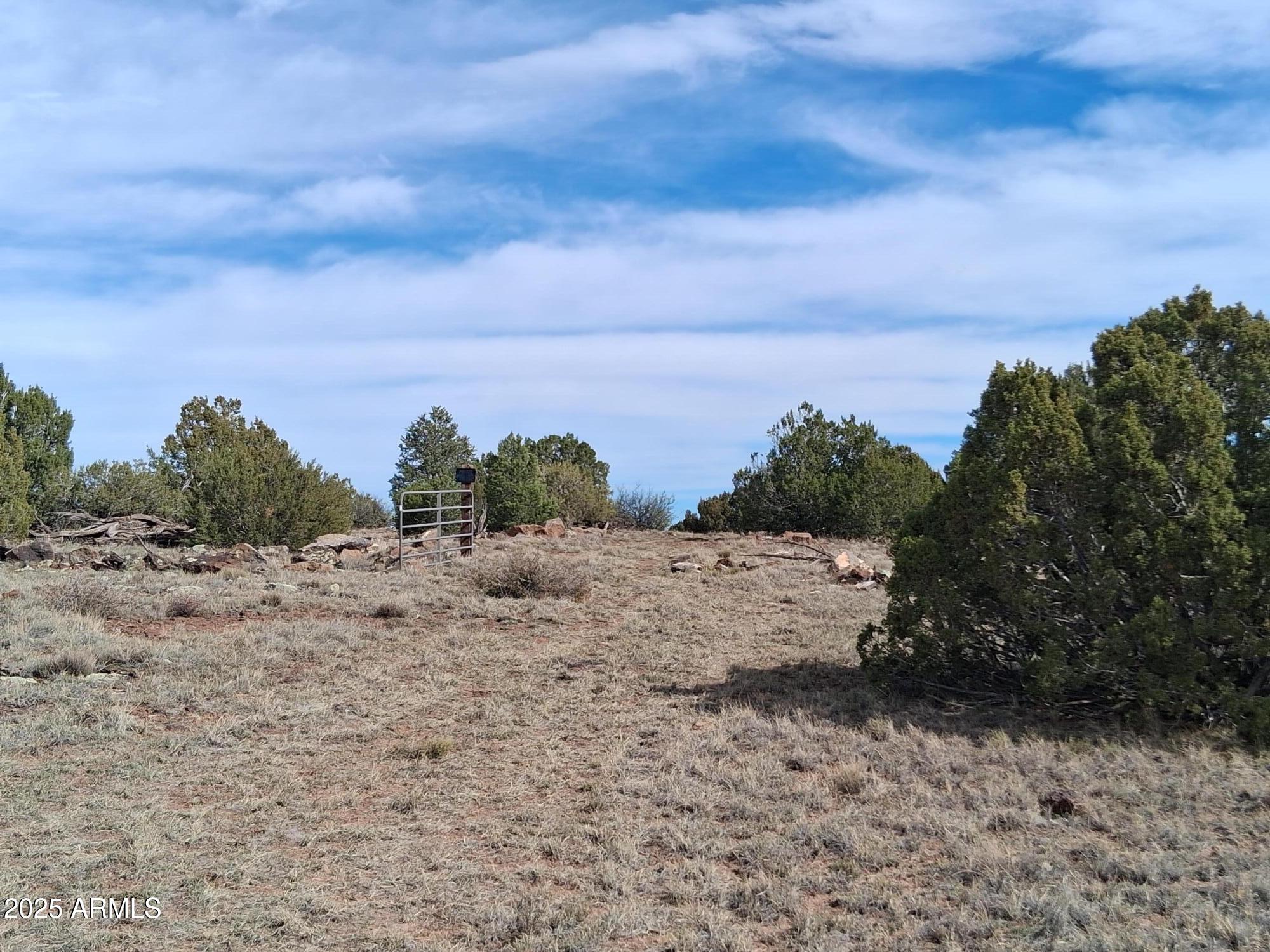 48 County Road Concho, AZ 85924 - Photo 8 of 18 48 County Rd N8339