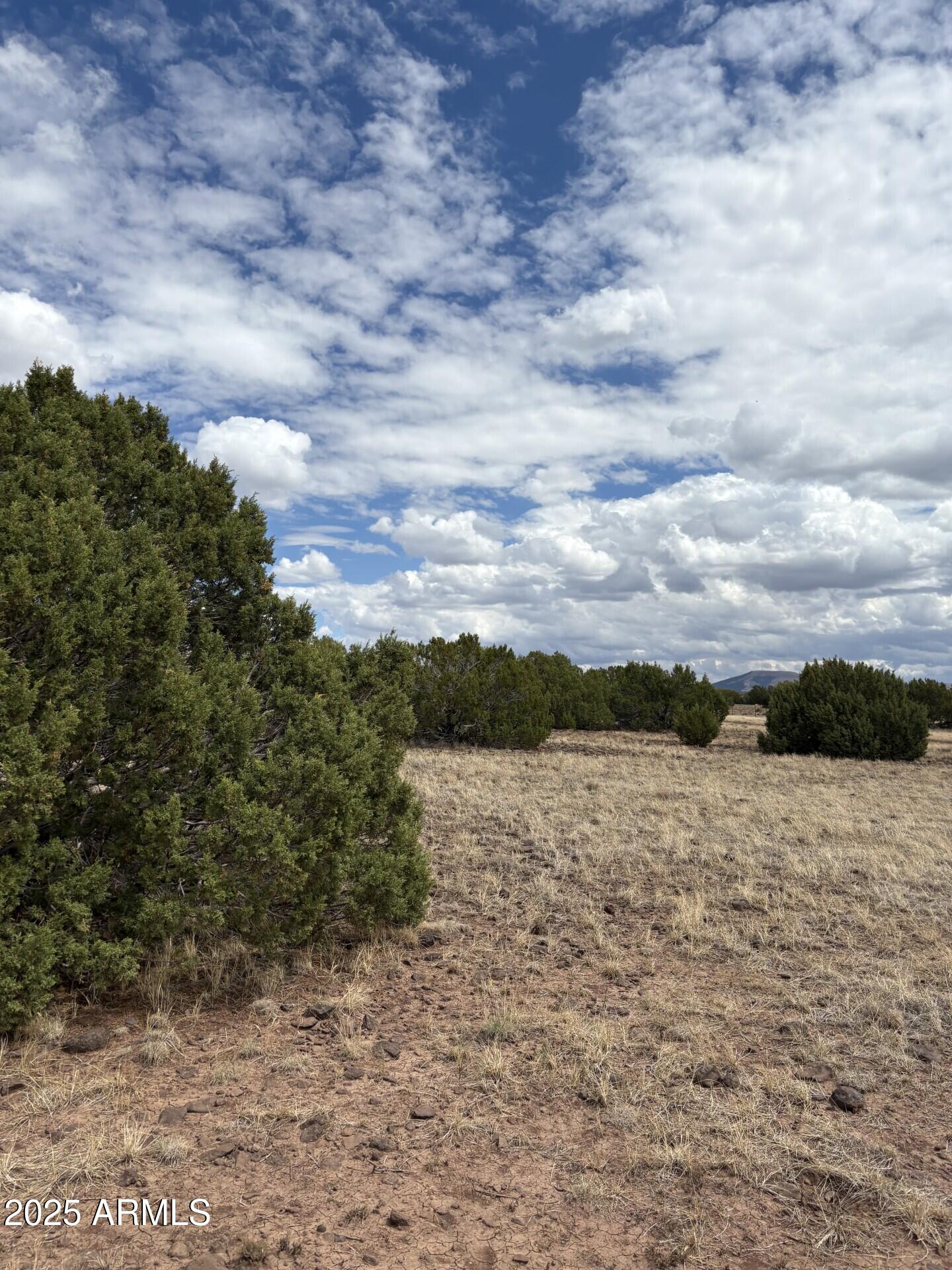 48 County Road Concho, AZ 85924 - Photo 9 of 18 48 County Rd N8339